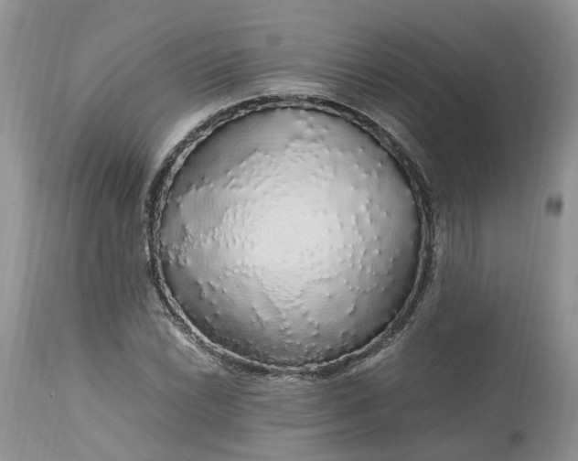 X0000113071022200909110935