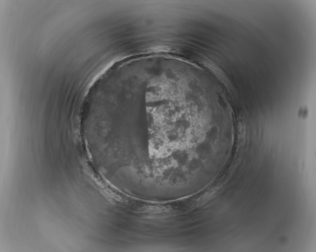 X0000113071023200909110935