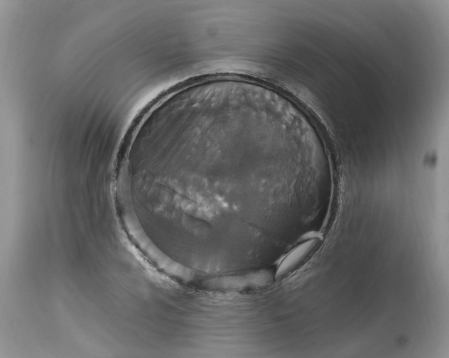 X0000113071024200909110935