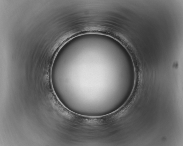 X0000113071025200909110935