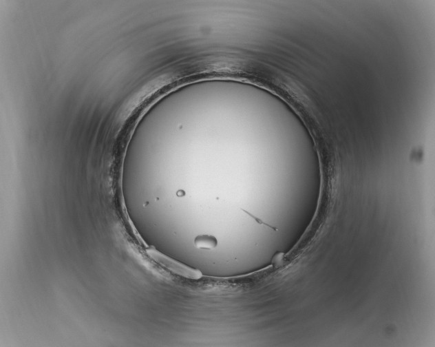 X0000113071026200909110935