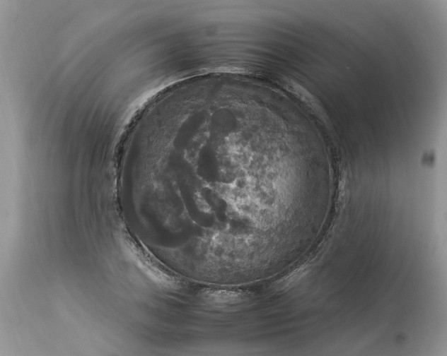 X0000113071027200909110935