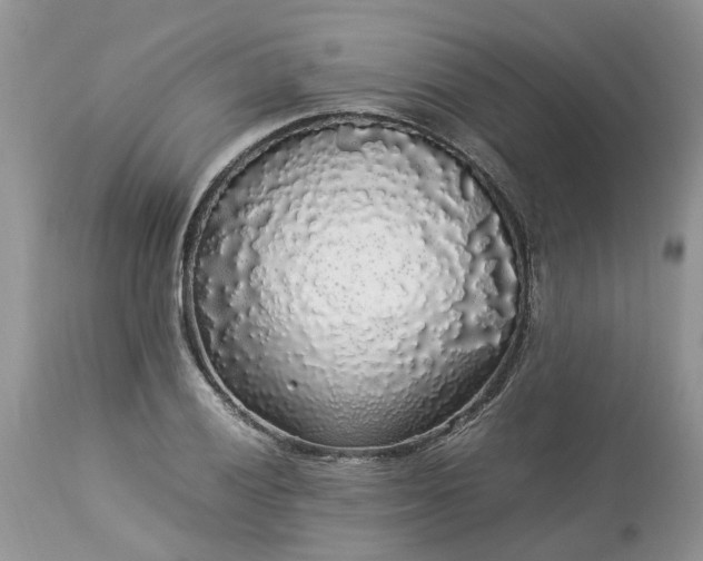 X0000113071028200909110935