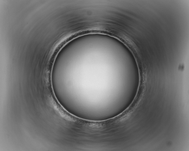 X0000113071029200909110935