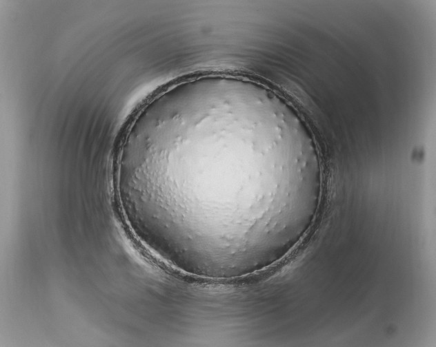 X0000113071030200909110935