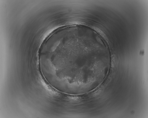 X0000113071031200909110935