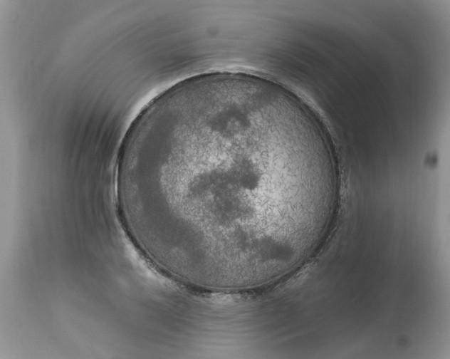 X0000113071032200909110935