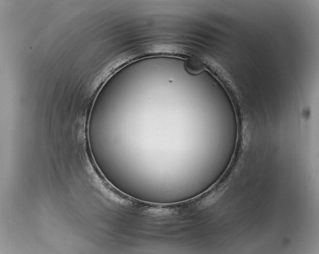 X0000113071033200909110935