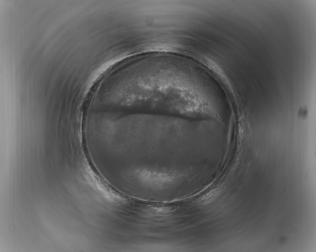 X0000113071035200909110935