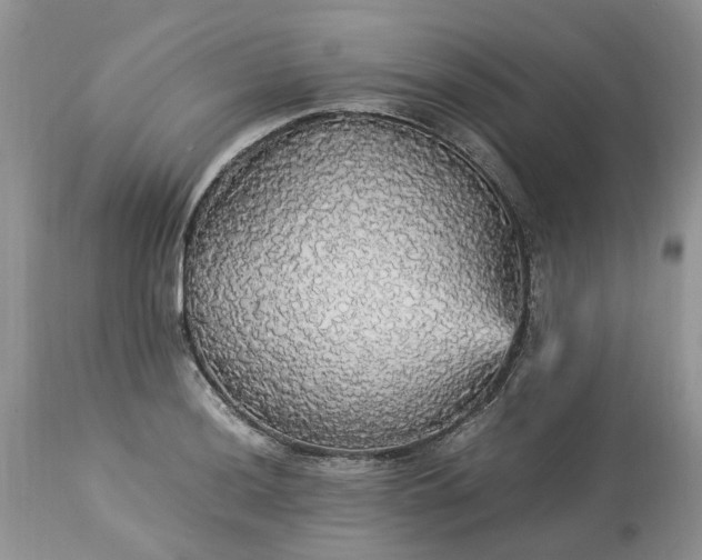 X0000113071036200909110935