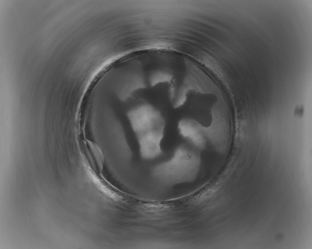 X0000113071037200909110935