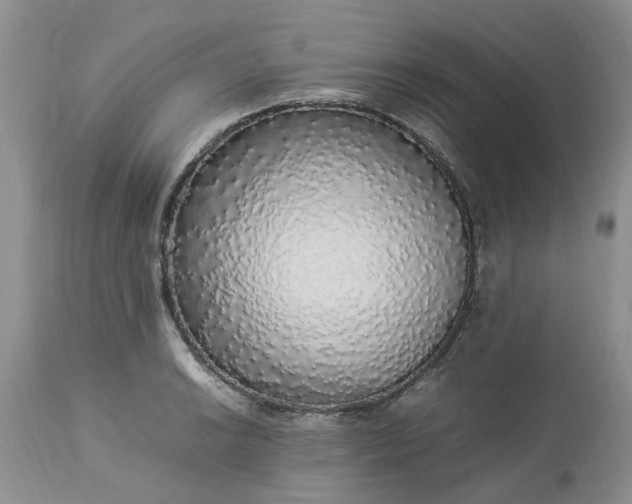 X0000113071038200909110935