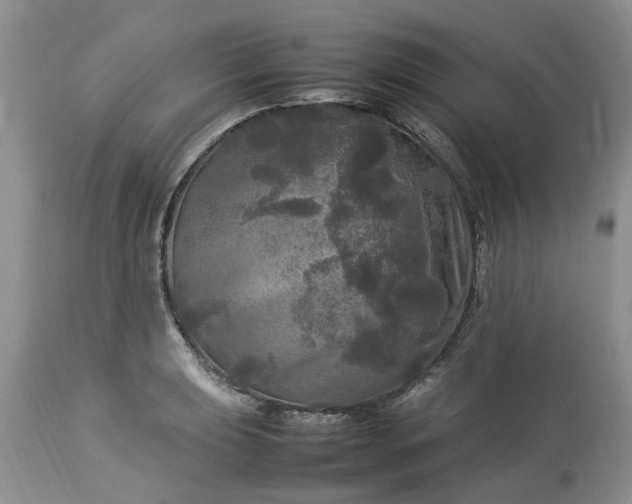 X0000113071039200909110935