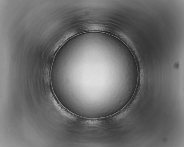 X0000113071041200909110935