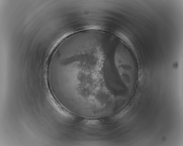 X0000113071043200909110935