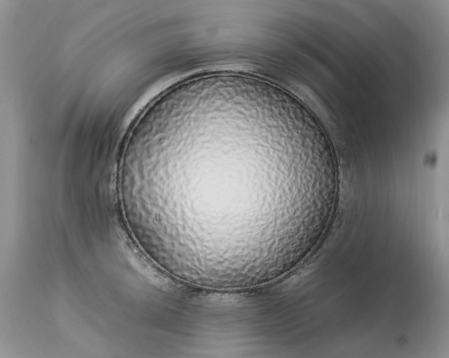 X0000113071044200909110935