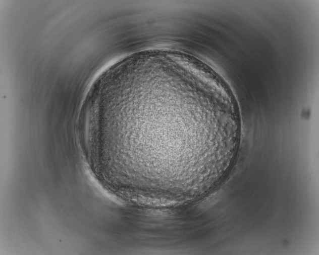 X0000113071045200909110935