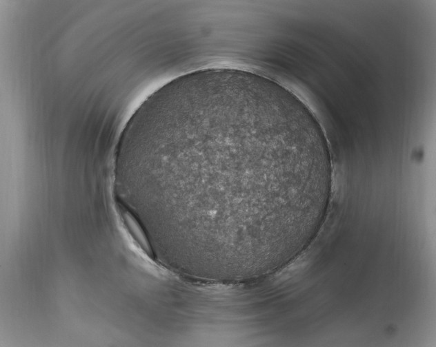 X0000113071048200909110935