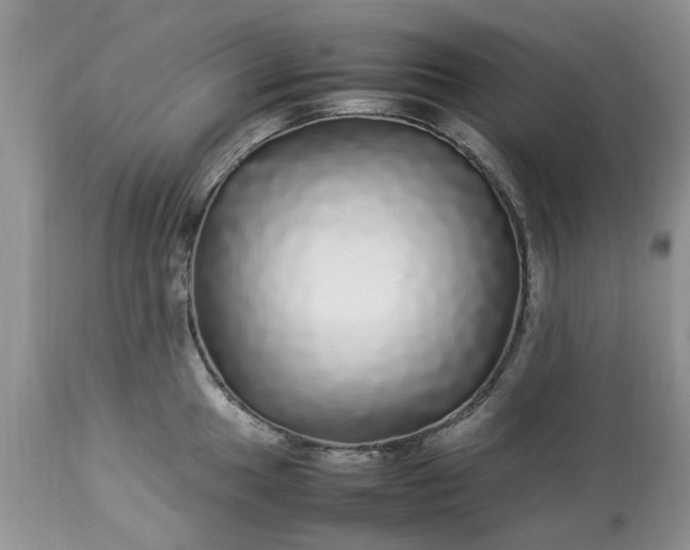 X0000113071049200909110935