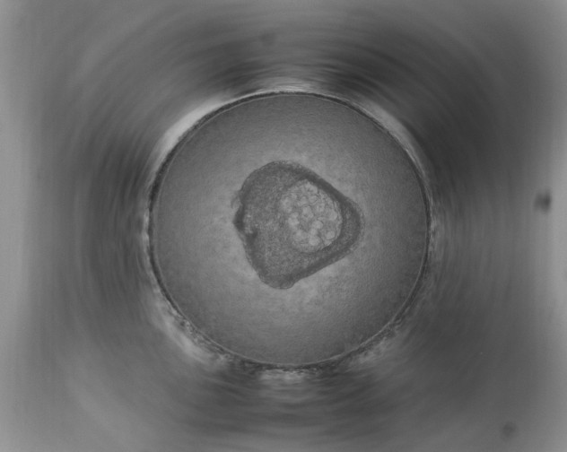 X0000113071051200909110935