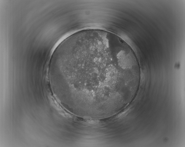 X0000113071052200909110935