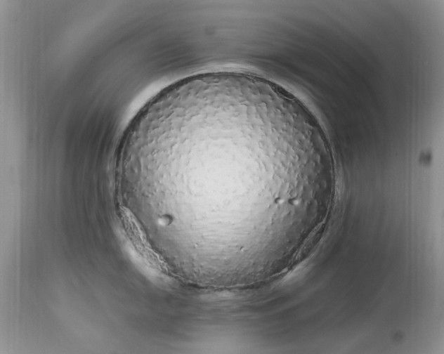 X0000113071054200909110935