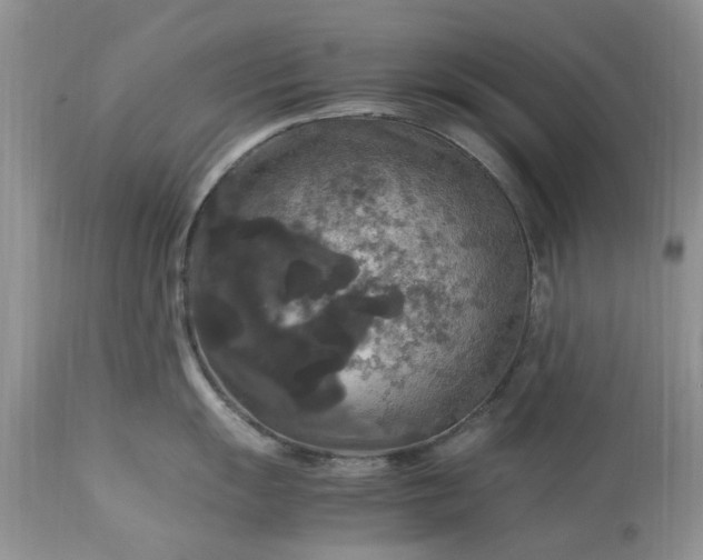 X0000113071055200909110935