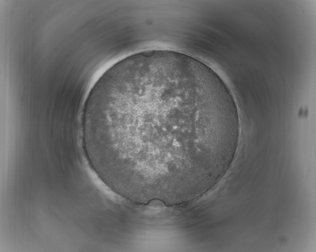 X0000113071056200909110935