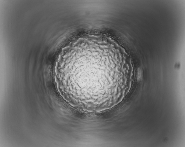 X0000113071059200909110935