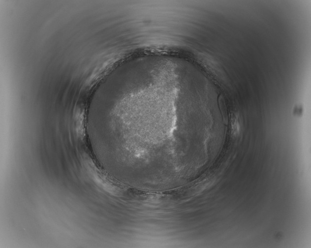 X0000113071060200909110935