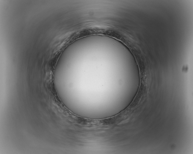 X0000113071061200909110934