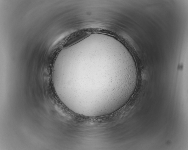 X0000113071064200909110934