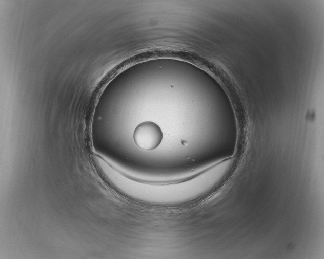 X0000113071065200909110934