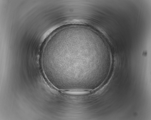 X0000113071066200909110934