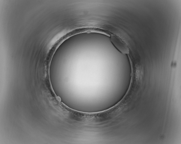 X0000113071069200909110934