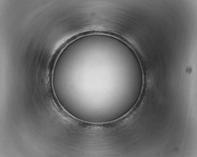 X0000113071070200909110934