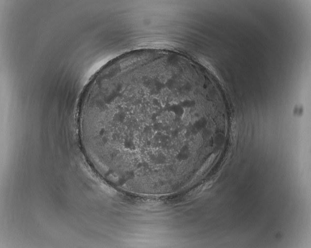 X0000113071071200909110934