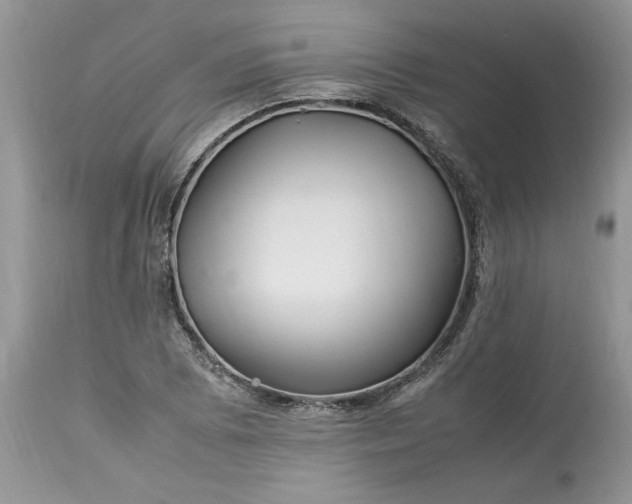 X0000113071073200909110934