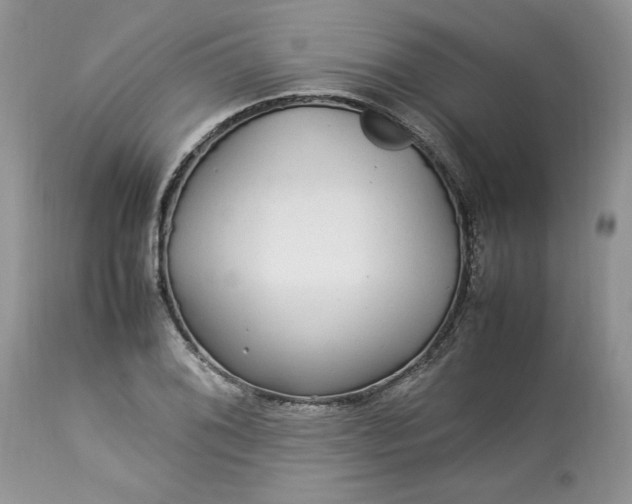 X0000113071076200909110934