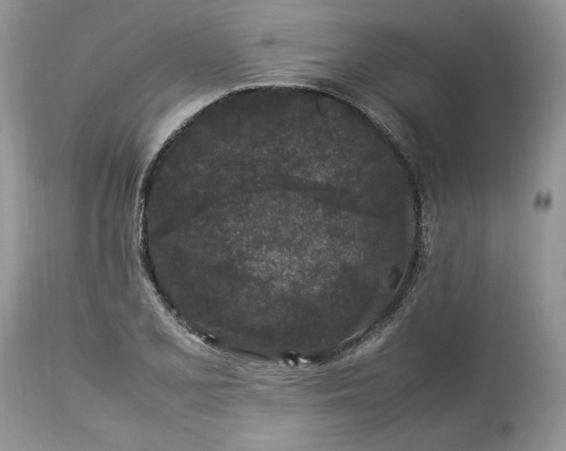 X0000113071077200909110934