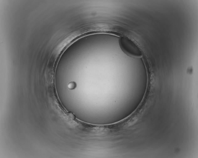 X0000113071081200909110934