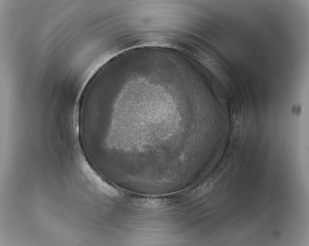 X0000113071084200909110934