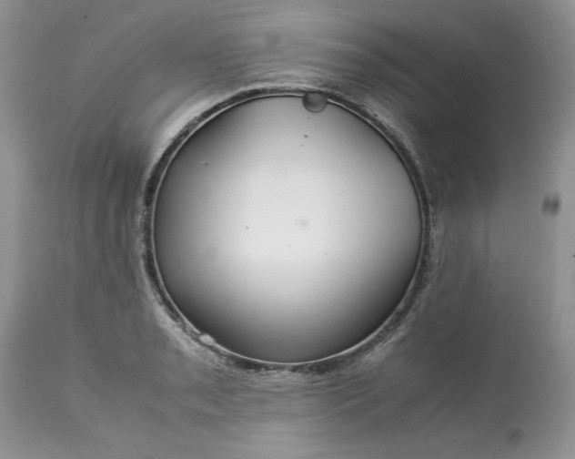 X0000113071085200909110934