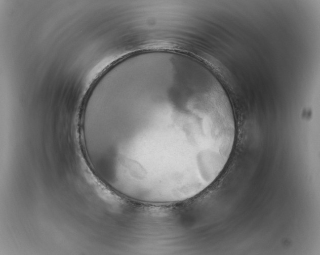 X0000113071086200909110934