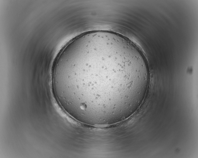 X0000113071088200909110934