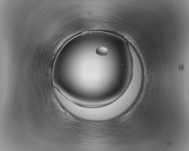 X0000113071089200909110934