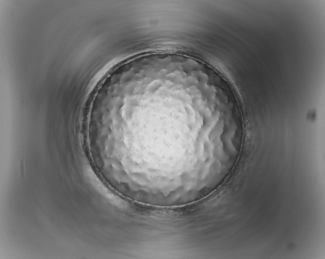 X0000113071091200909110934