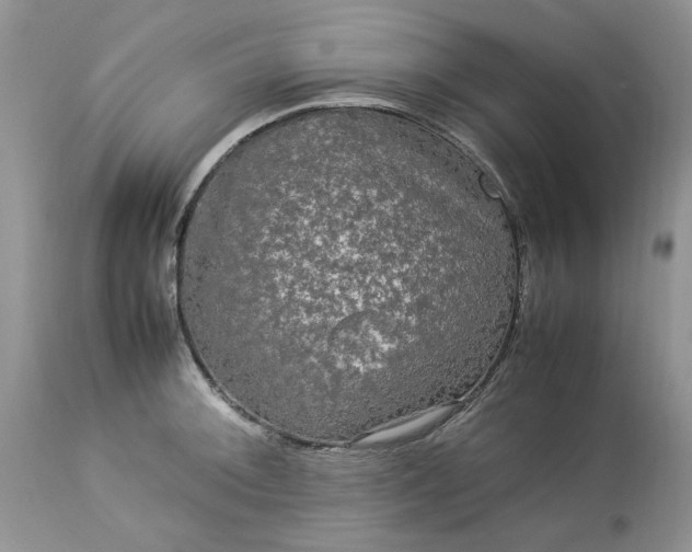 X0000113071092200909110934