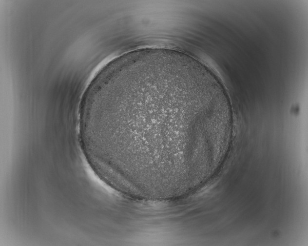 X0000113071095200909110934