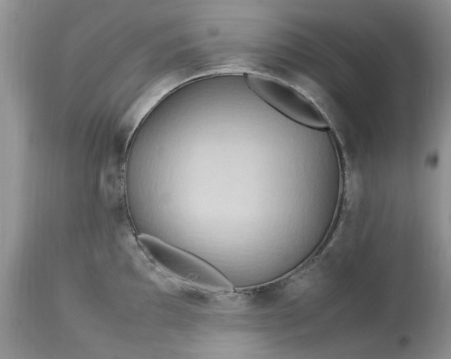 X0000113071097200909110934